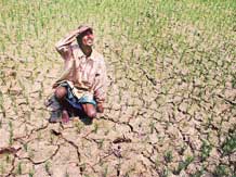 india suicide farmers